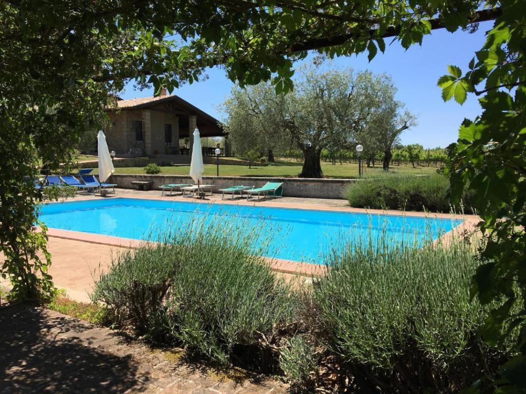 Agriturismo Eco-Bio Villa Vacasio Pitigliano Luaran gambar